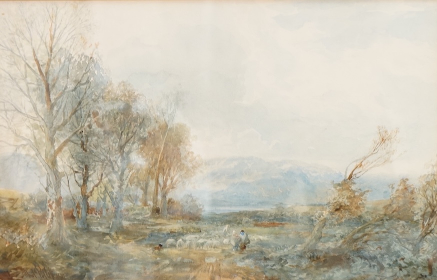 Albert Pollitt (1856-1926), 'Shepherd', signed and dated 1911, watercolour, 24 x 41cm